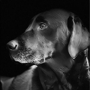 Meet your Posher, Nikki